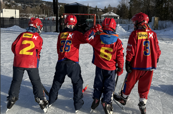 En gruppe mennesker iført hockeyklær