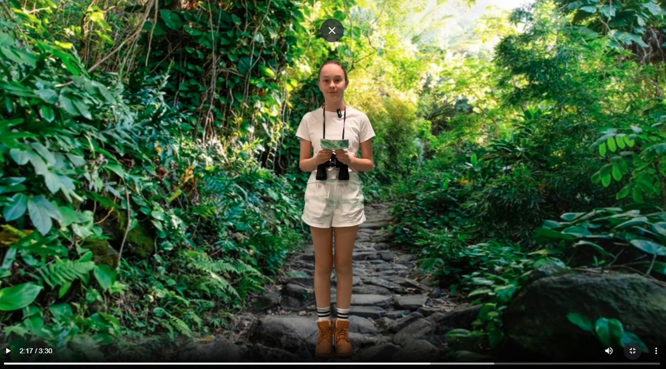 En person som står på en stein i en skog