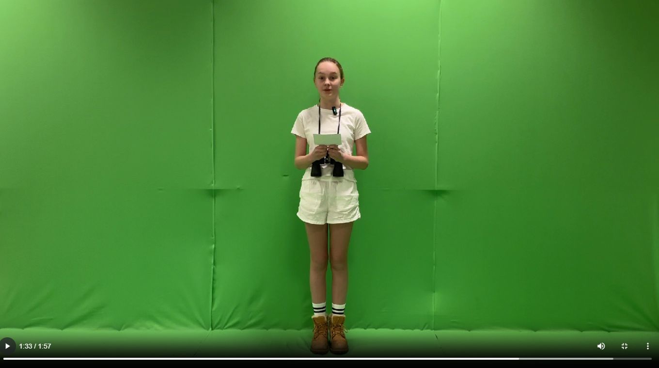 en person som holder et kamera